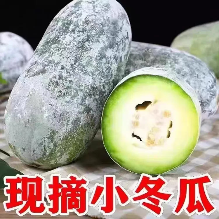 新鲜现摘水果小冬瓜可生吃凉拌炖菜当季时令蔬菜