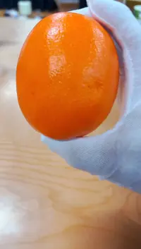 【闪购商品】瓷片1好好好好好好