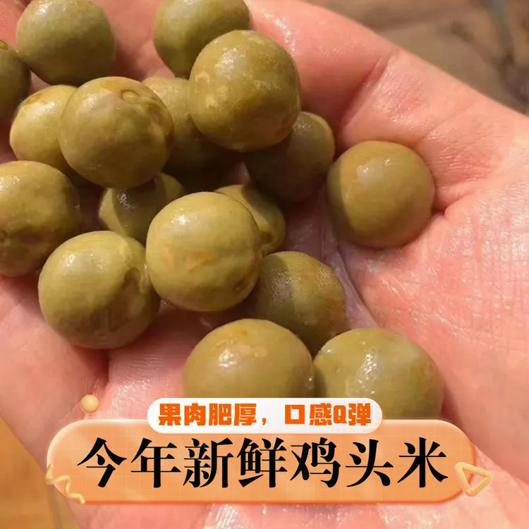 新鲜芡实鸡头果带壳鸡头米10毫米左右二青中果安徽特产鸡头果子