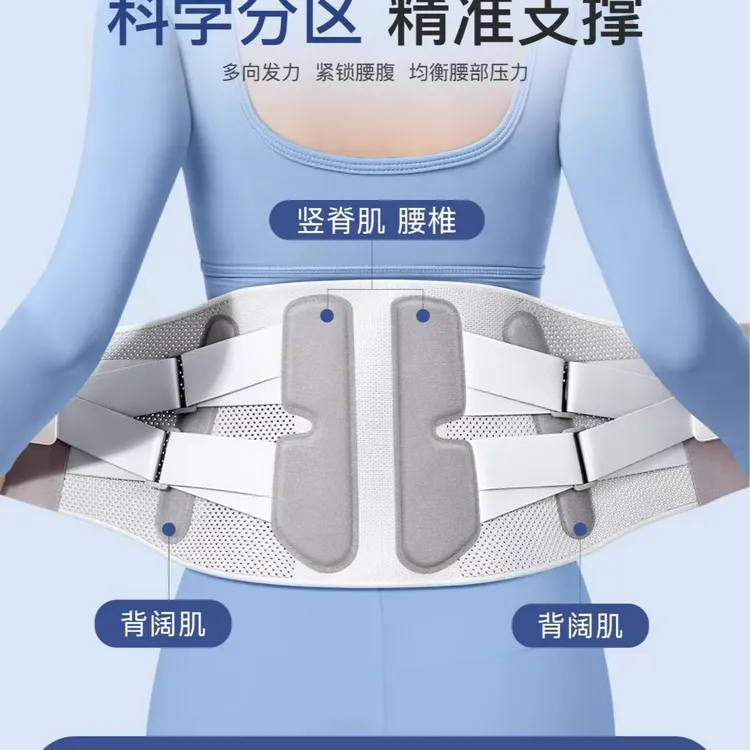 高端品质专业护腰带