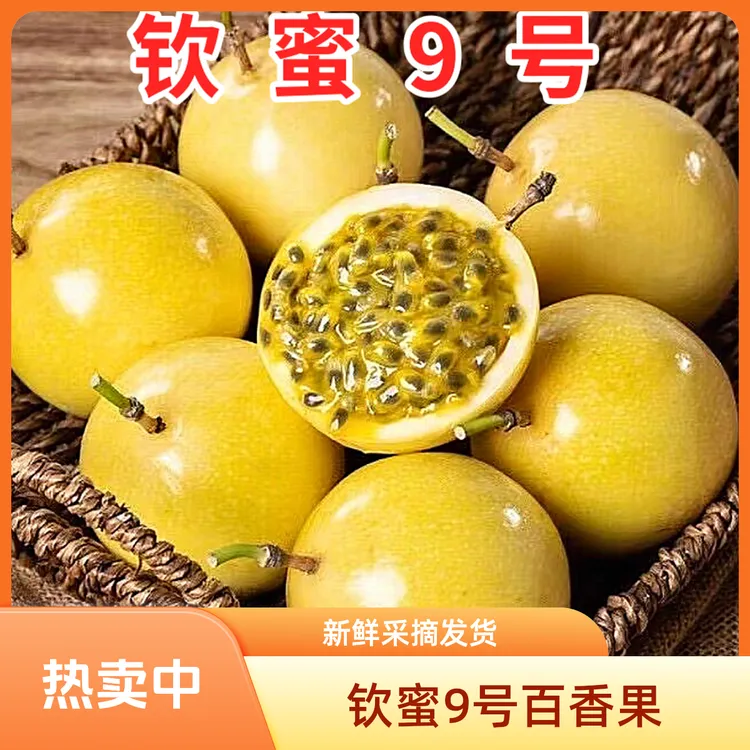 【广西正宗黄金百香果】钦蜜9号百香果特大果新鲜钦蜜九号百香果