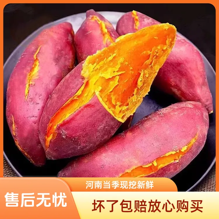 （坏了包赔）河南当季现挖新鲜红皮黄心沙地红薯粉糯软甜蒸煮皆宜