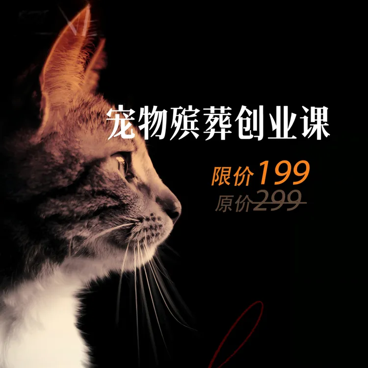 宠物善终创业入门课 + 作业实操 + 答疑辅导