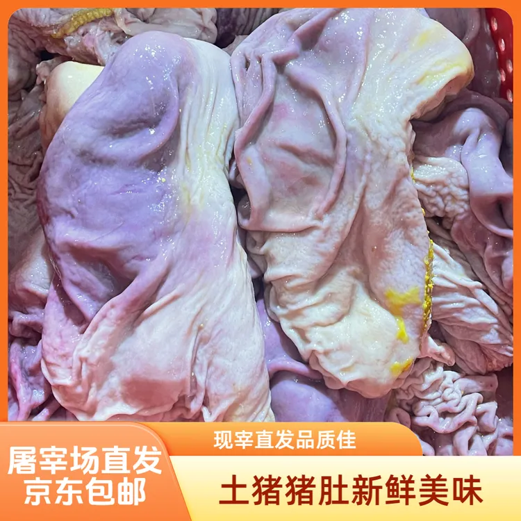 （新鲜精修去油猪肚）现宰现发洗净健康无添加 潮汕猪肚鸡煲汤鲜美
