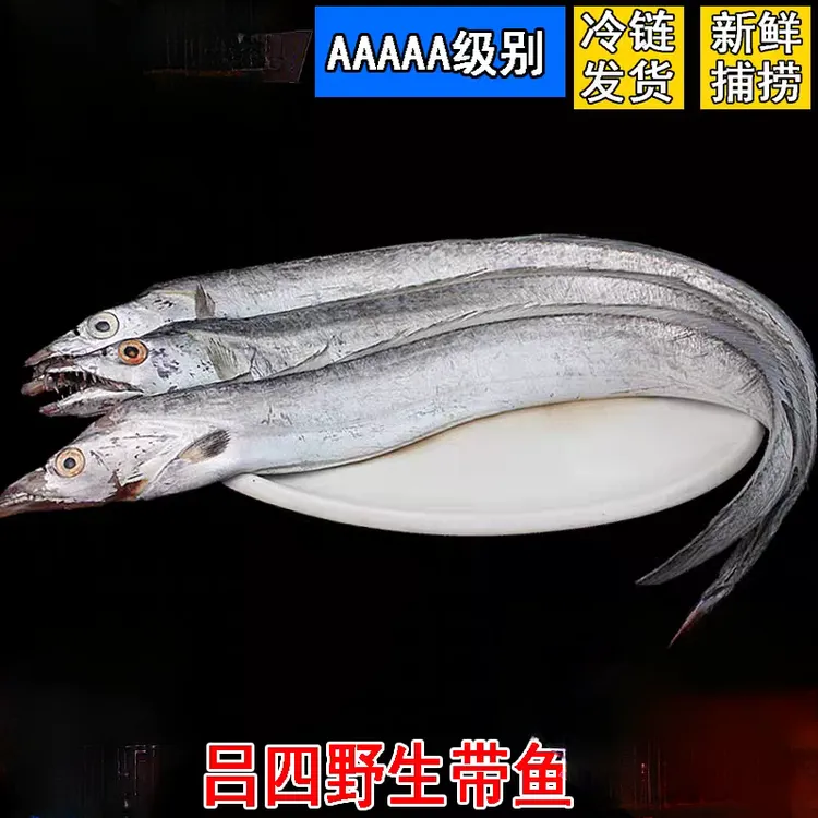带鱼新鲜冷冻整条特级东海超大吕四小眼睛带鱼大刀鱼冰冻油带整箱