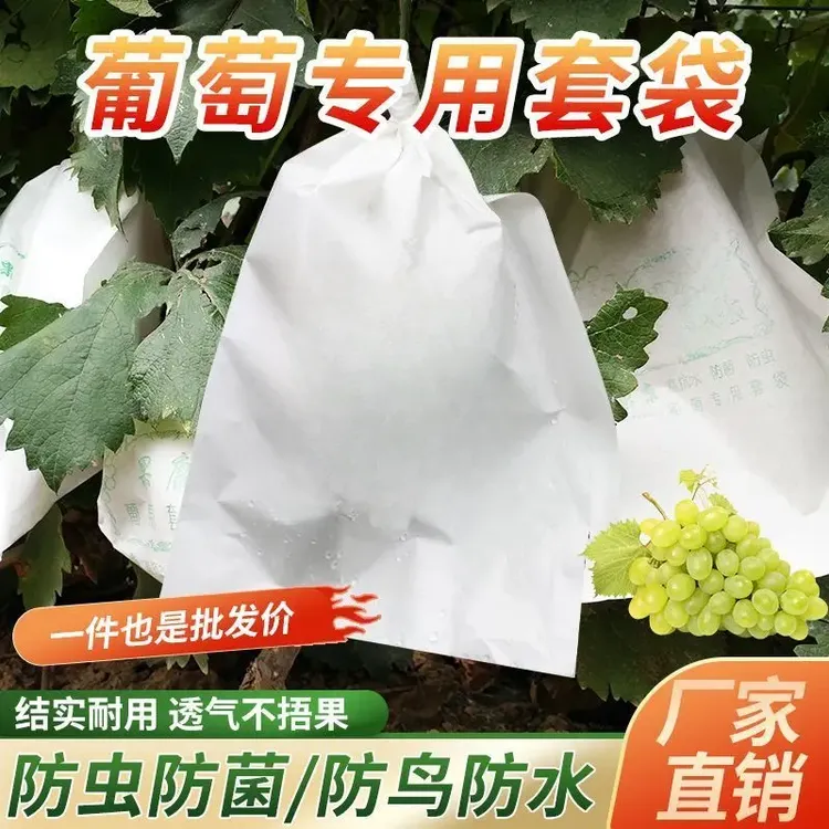 防水纸袋水果套袋家用葡萄袋专用防雨袋子半透明露天防虫育果袋子