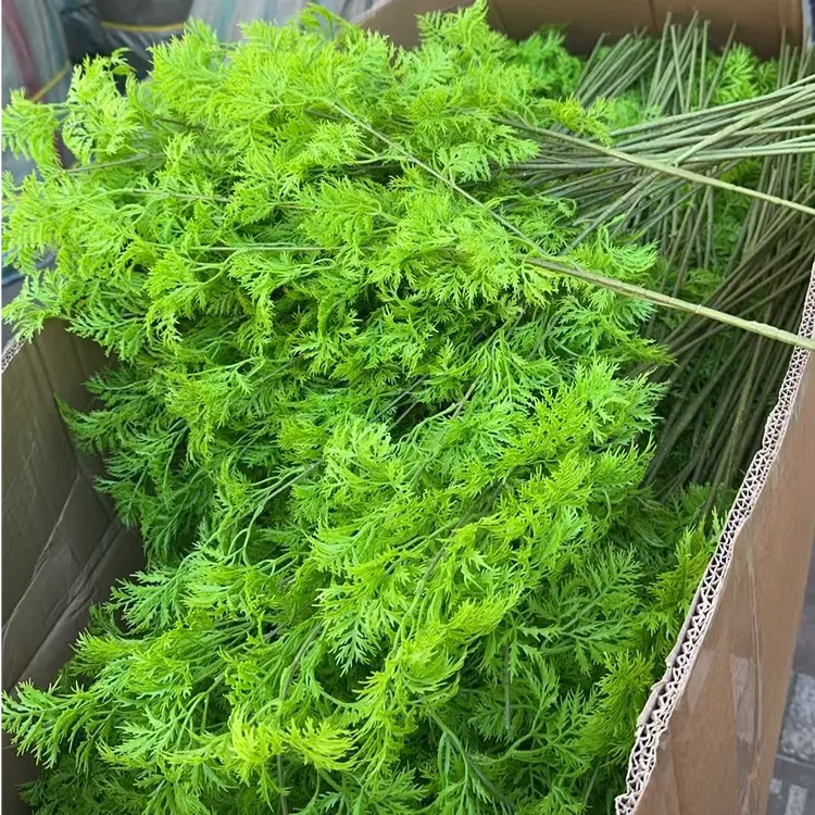 【30支】福禄草 仿真花 婚庆居家装饰假花