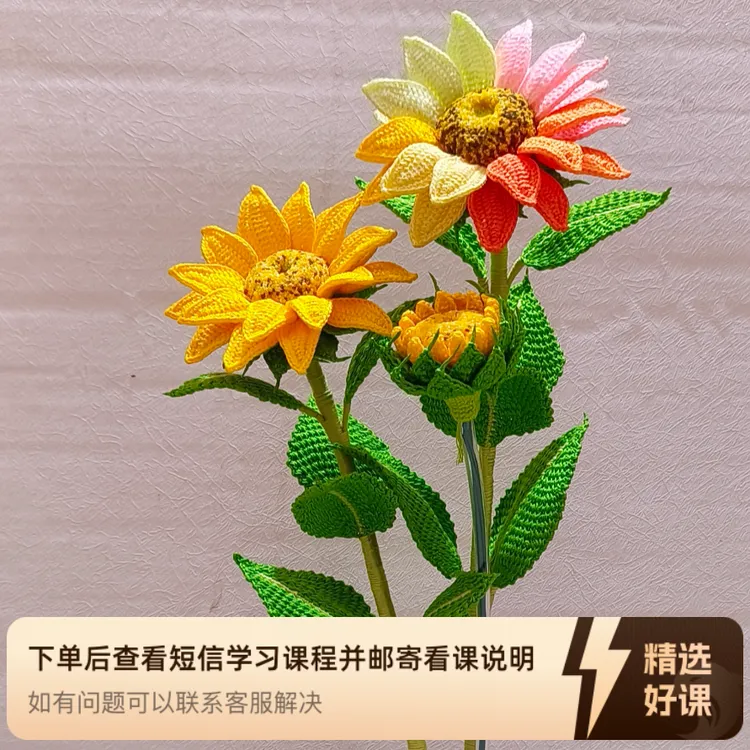 新版向日葵视频教程（留意短信解锁课程）