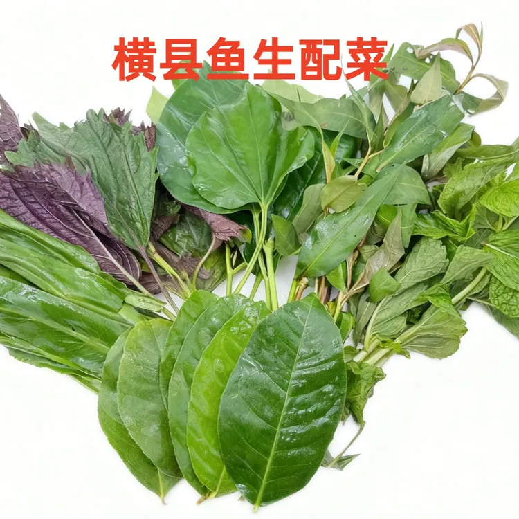 【鱼生配菜】广西横县鱼生配料配菜全套青料酸料紫苏木瓜英新鲜发货
