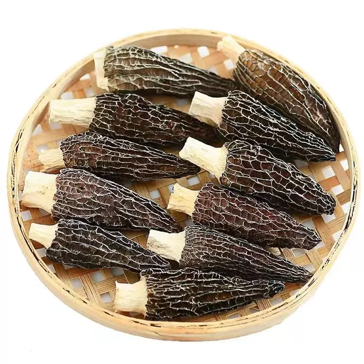 【露思同品质】高山羊肚菌六妹头茬干货肉质肥厚 营养美味煲汤食材