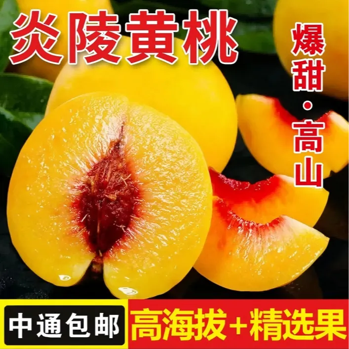  中通快递 正宗炎陵黄桃 湖南炎陵红心黄桃 爆甜脆爽新鲜头茬果