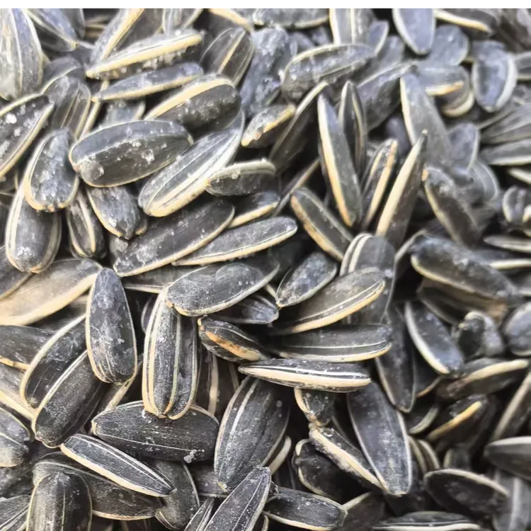 新货大颗粒原味瓜子新鲜香瓜子零食