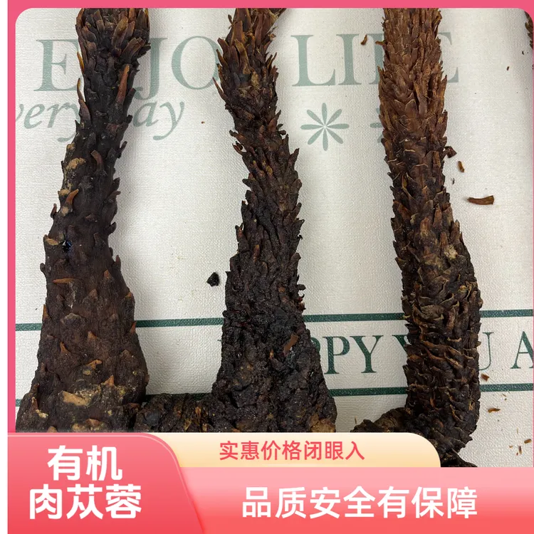 有机荒漠肉苁蓉男女传统滋补养生原材料3条500g