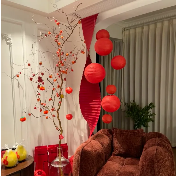 【金灯树】酸浆果老桩龙柳室内轻奢氛围感水培桌摆落地大型好养绿植