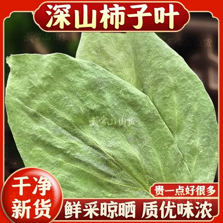 当季新货青叶霜后红色柿子叶完整新叶无熏硫无染色搭配山楂干煮水