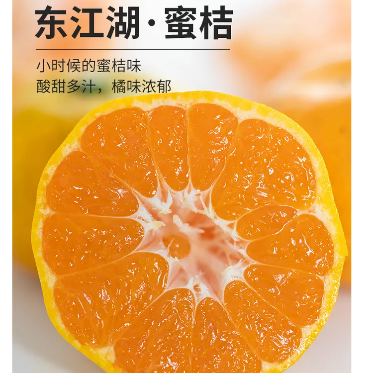 东江湖蜜桔优质水源种植酸甜多汁橘味超正风味足化渣高4.5斤顺丰