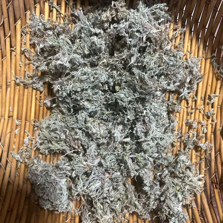 2025年新鲜茵陈正月嫩芽品质白蒿芦蒿干茵陈泡水泡茶喝