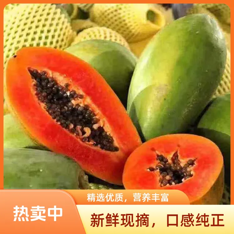 广西红心木瓜新鲜当季水果树上熟细腻软糯产地直发