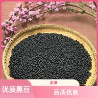 优质绿心黑豆农家新货可打豆浆发豆芽炖汤的五谷杂粮
