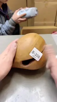 【闪购商品】瓷片208聚宝缘二号店