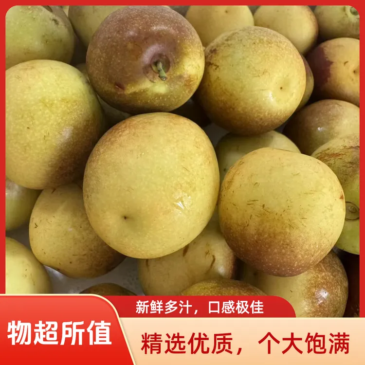 山东现摘现发原产地冰糖冬枣大青枣脆甜可口应季新鲜水果