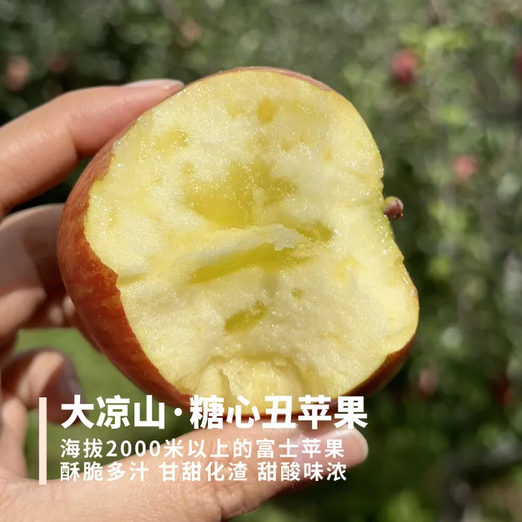 大凉山丑苹果 来着2000米海拔 糖心率高 高甜高酸酥脆多汁 滋味足