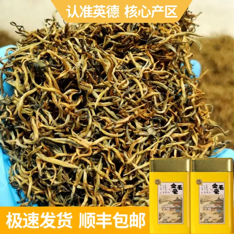 英德红茶 2025年新茶广东特产英红九号罐装