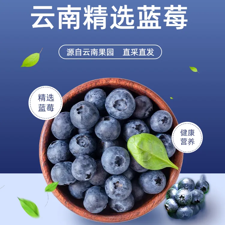 云南高山蓝莓鲜果果园现采现摘酸甜可口当季新鲜水果空运包邮