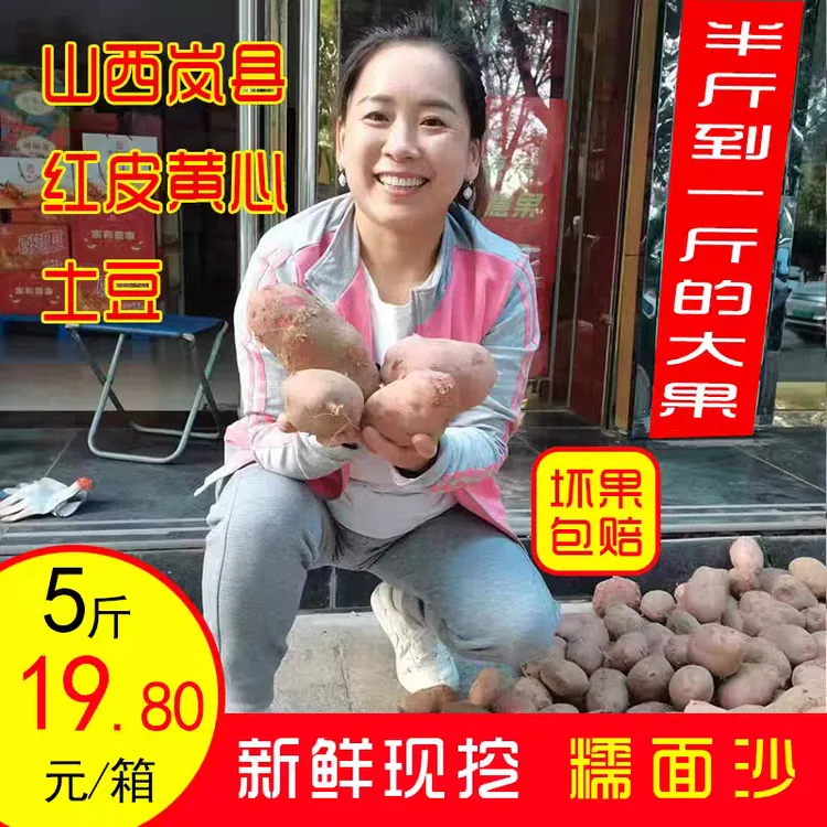 山西岚县特产红土豆红皮黄心土豆糯面粉大土豆农家马铃薯新鲜洋芋