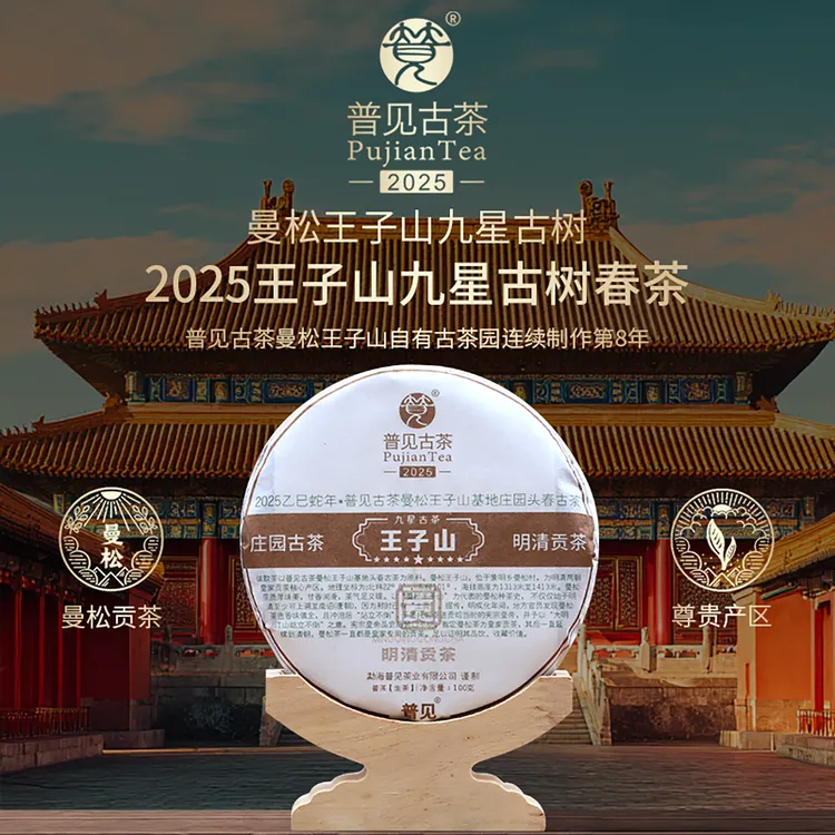 普见古茶2025年曼松王子山古树头春茶 九星古树