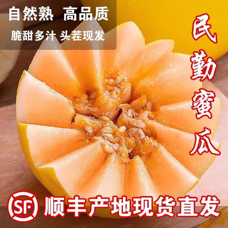 【三江锅切片专用】民勤金红宝蜜瓜6-9斤2-3枚顺丰京东产地直发-1仓