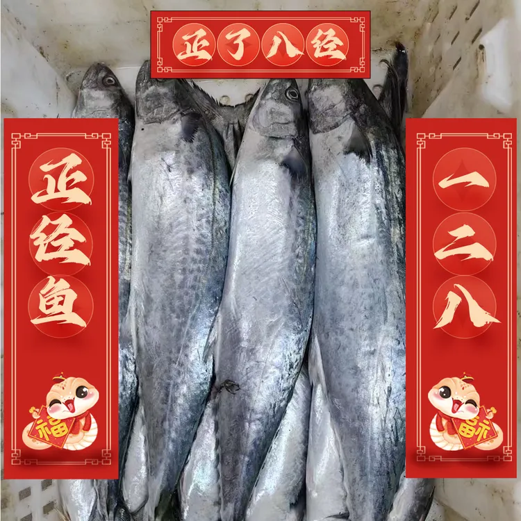 大连丰收季美味海鲜直供，当地渤海湾鲅鱼