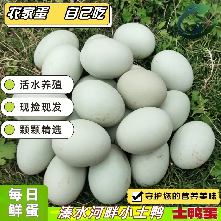 新鲜鸭蛋生鸭蛋农家散养水养活水青壳青皮生鲜大蛋现捡现发土鸭蛋
