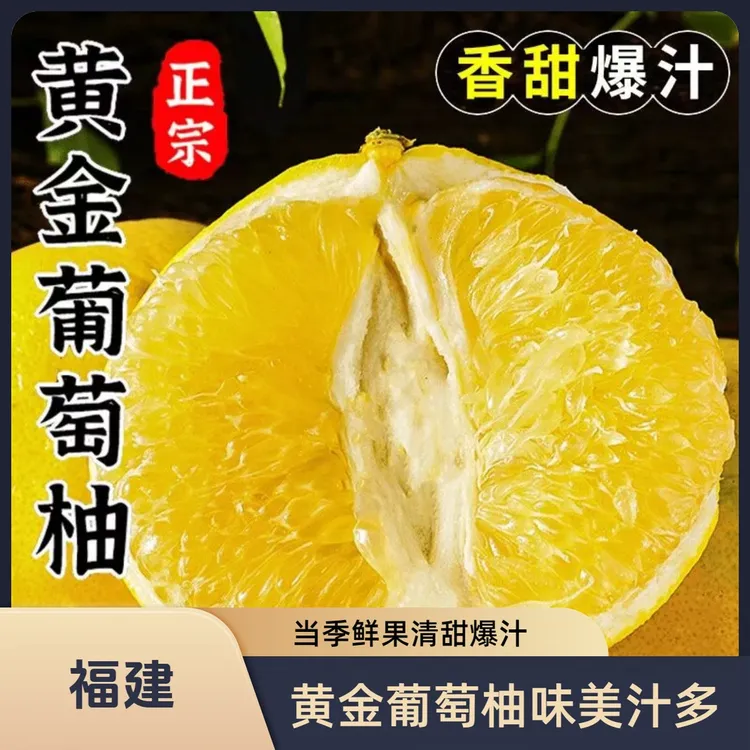 黄金葡萄柚福建新鲜应季清甜多汁果园现摘现发