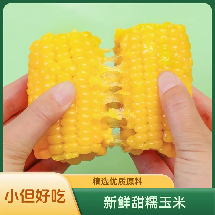 头茬黄金八厘米新玉米段糯玉米真空包装早餐东北黏苞米试吃2支