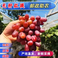 YZ果园现摘克伦生无籽红提葡萄应季水果脆甜无核无籽孕妇澳洲无核
