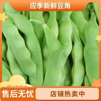 东北吉林梨树应季九月青油豆角面豆角东北豆角直播第一名