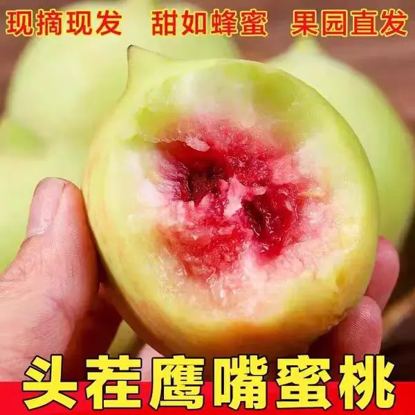 新鲜鹰嘴桃云南蒙自当季新鲜水果脆甜水蜜桃时令老树毛桃