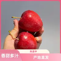 新疆香妃海棠 酸酸甜甜小苹果当季新鲜 原产地脆甜可口