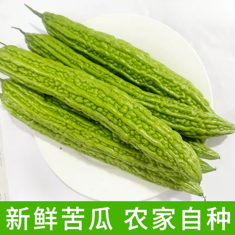 八方美山东新鲜蔬菜农家自种苦瓜现摘现发鲜苦瓜产地直销