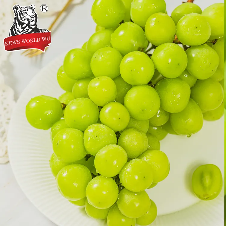 【王品】四川阳光玫瑰3斤装单果8g+/10g+/12g+顺丰包邮