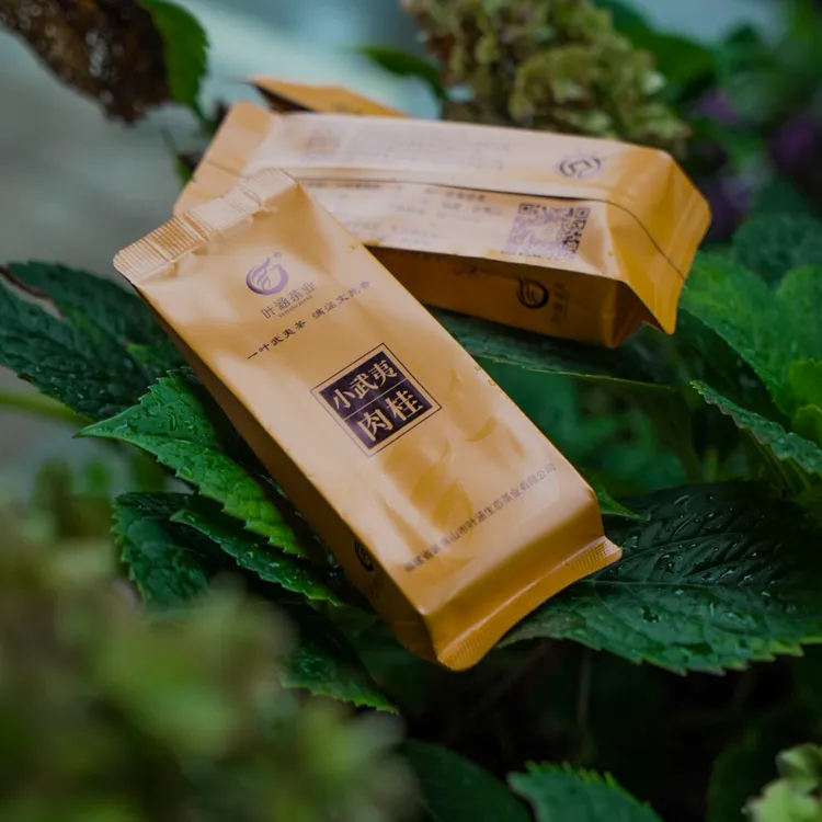 小武夷肉桂|正岩口味|武夷岩茶