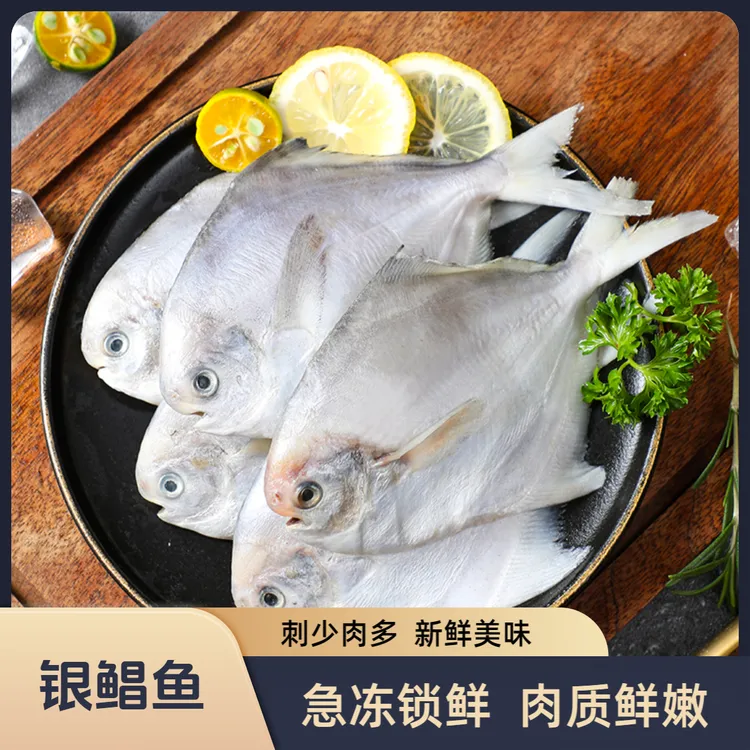 英里岛新鲜速冻银鲳鱼肉质鲜嫩500g/包*5包 （7-8条/包）