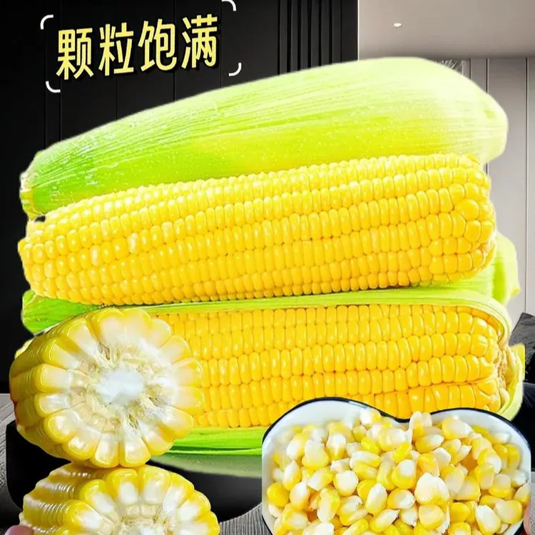 云南新鲜水果太阳花黄金水果玉米香甜多汁可生吃当季现摘产地直发