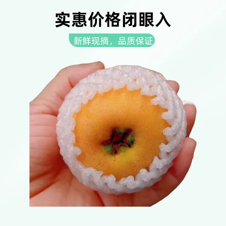 四川熊猫的故乡宝兴高山大五星枇杷新鲜采摘自然成熟当季甜枇杷