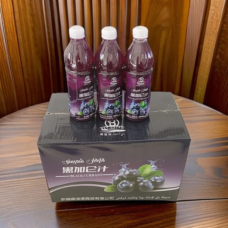 《鑫湟渠》新疆特产黑加仑汁果汁饮料