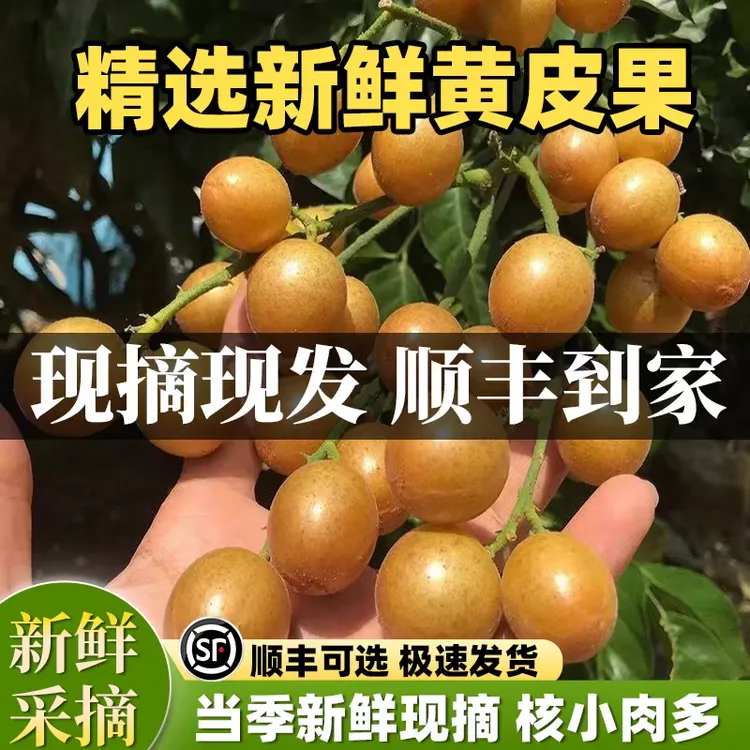 顺丰包邮新鲜鸡心黄皮果当季酸甜多汁孕妇水果