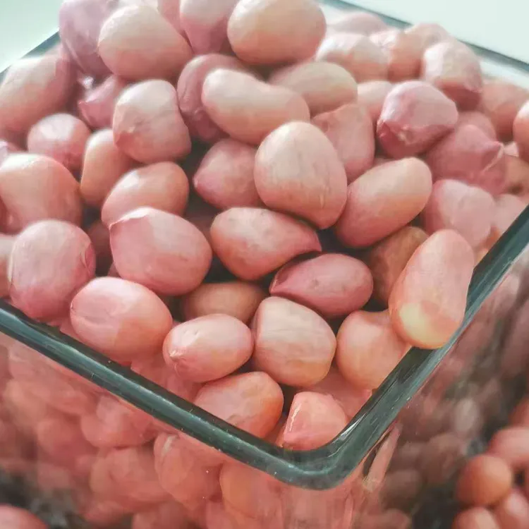 2025年河南新鲜大白沙现剥无壳生现挖颗粒干花生花生米