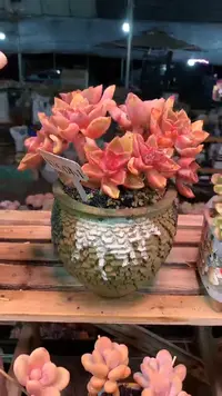 【闪购商品】060MMM