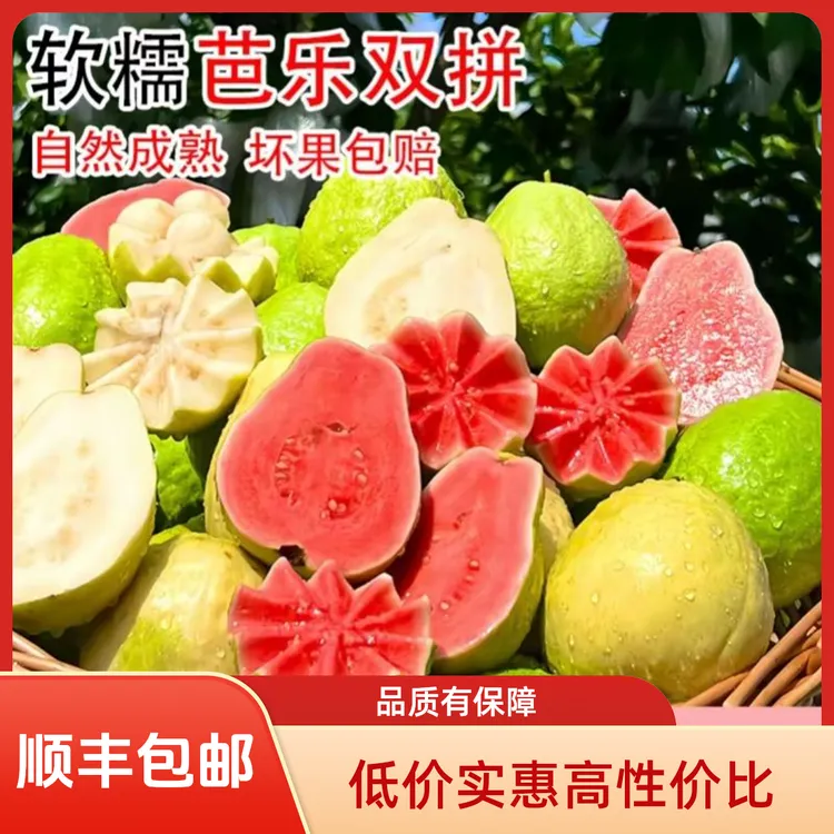 福建奶油红心白心草莓芭乐大果番石榴软糯香甜当季新鲜低糖水果